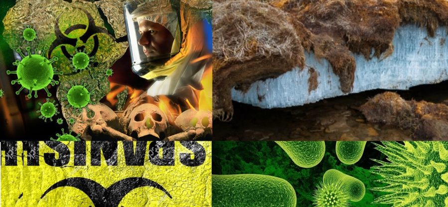 Permafrost Çözülüyor. Geçmişin Ölümcül Mikropları Uyanacak Mı?