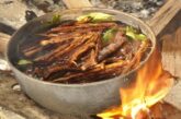 Ayauhasca Çayı. Peru ormanlarındaki gizemli bitki