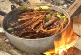 Ayauhasca Çayı. Peru ormanlarındaki gizemli bitki