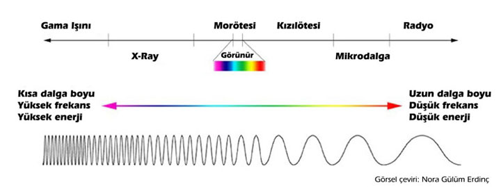 Işınların elektromanyetik spektrumu
