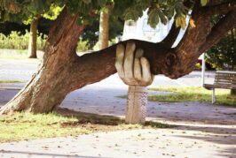 Yeni Şuur İnşaatının Temelleri