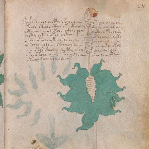 Okült botanik ve bitki codex'leri