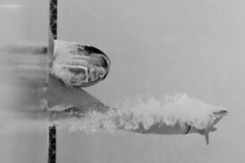 Alış(a)mayanların Manifestosu