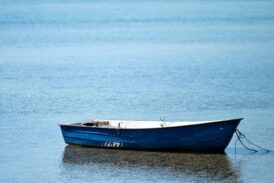 Sessizlik manifestosu