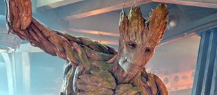Ben Groot