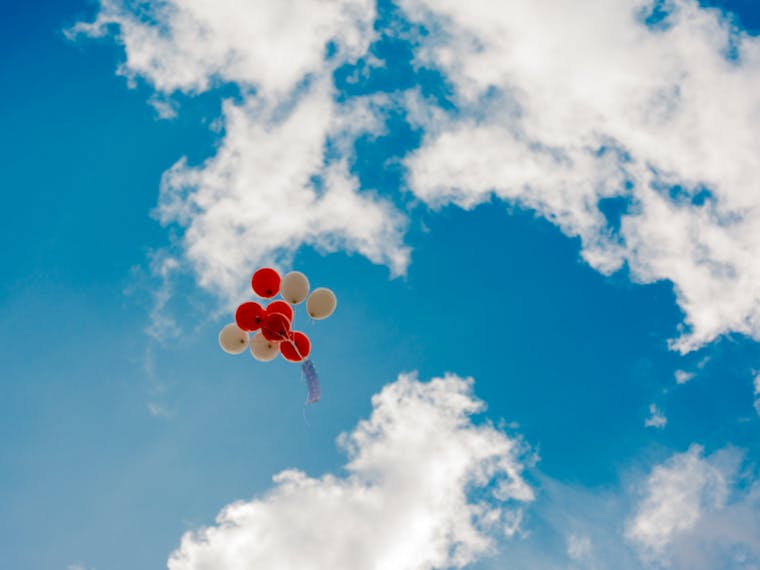 Deli bir rüzgârın serzenişi