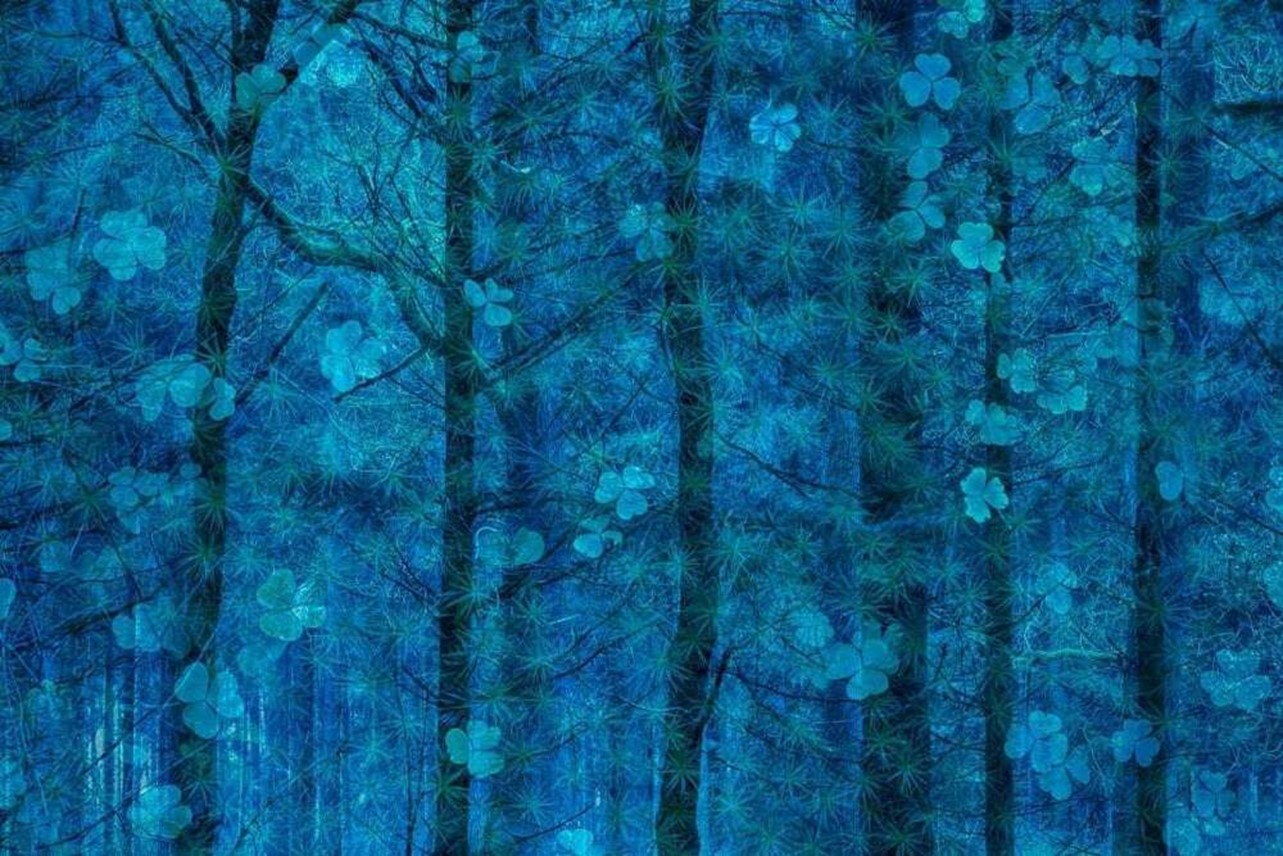 Happiness Grows in Trees