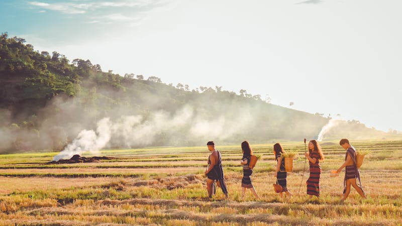 Homo Sapiens'ten Homo Conexus'a