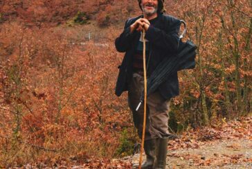 Köklerden öte: İnsan sadece “insan” olarak var olabilir mi?