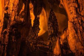 Garbha kapısı mağaralar ve bitkileri