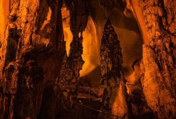 Garbha kapısı mağaralar ve bitkileri