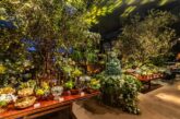 Ezoterik katmanda botanik