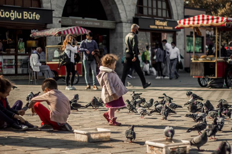 Bavullar ve kuşlar
