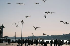 Yılların değil, yüklerin hikâyesi