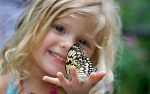 cute-child-holding-butterfly