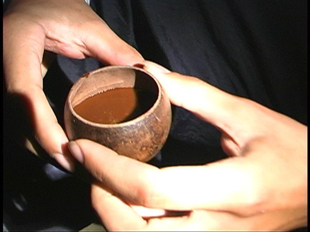 Ayauhasca Çayı. Peru ormanlarındaki gizemli bitki