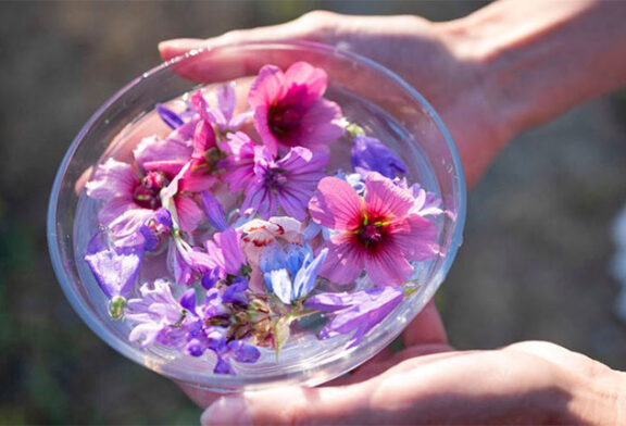 Çiçek terapi’nin terapisti olmak