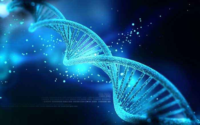 DNA-Sarmalı